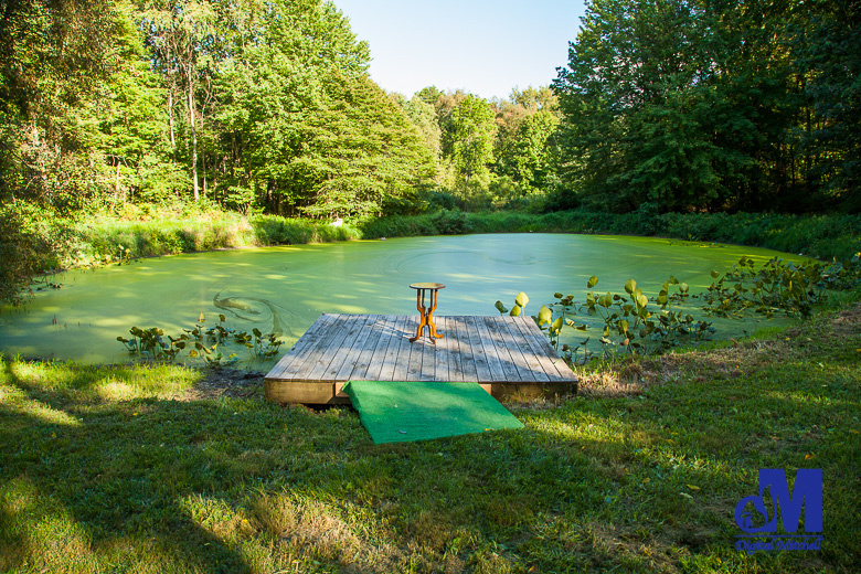 photograph of wedding pond